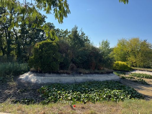 Terrain 1250 m² · à Vidauban · 129 000 €