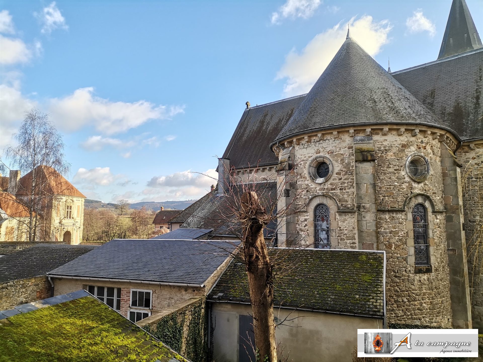 Maison à vendre, 283m², Pionsat