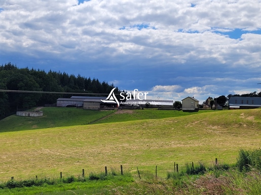 Prunet 180m²