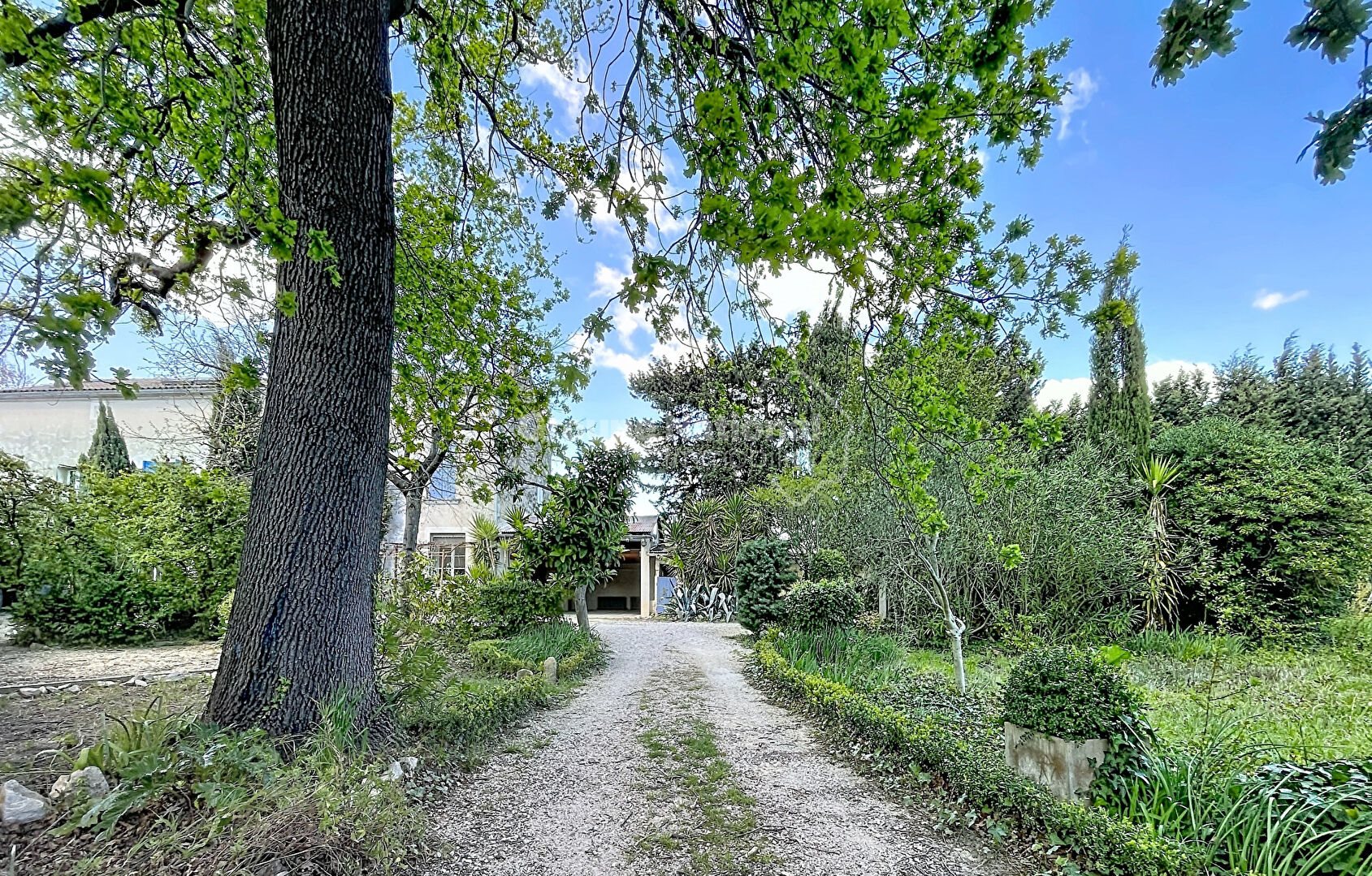Maison à vendre, 239m², Barbentane