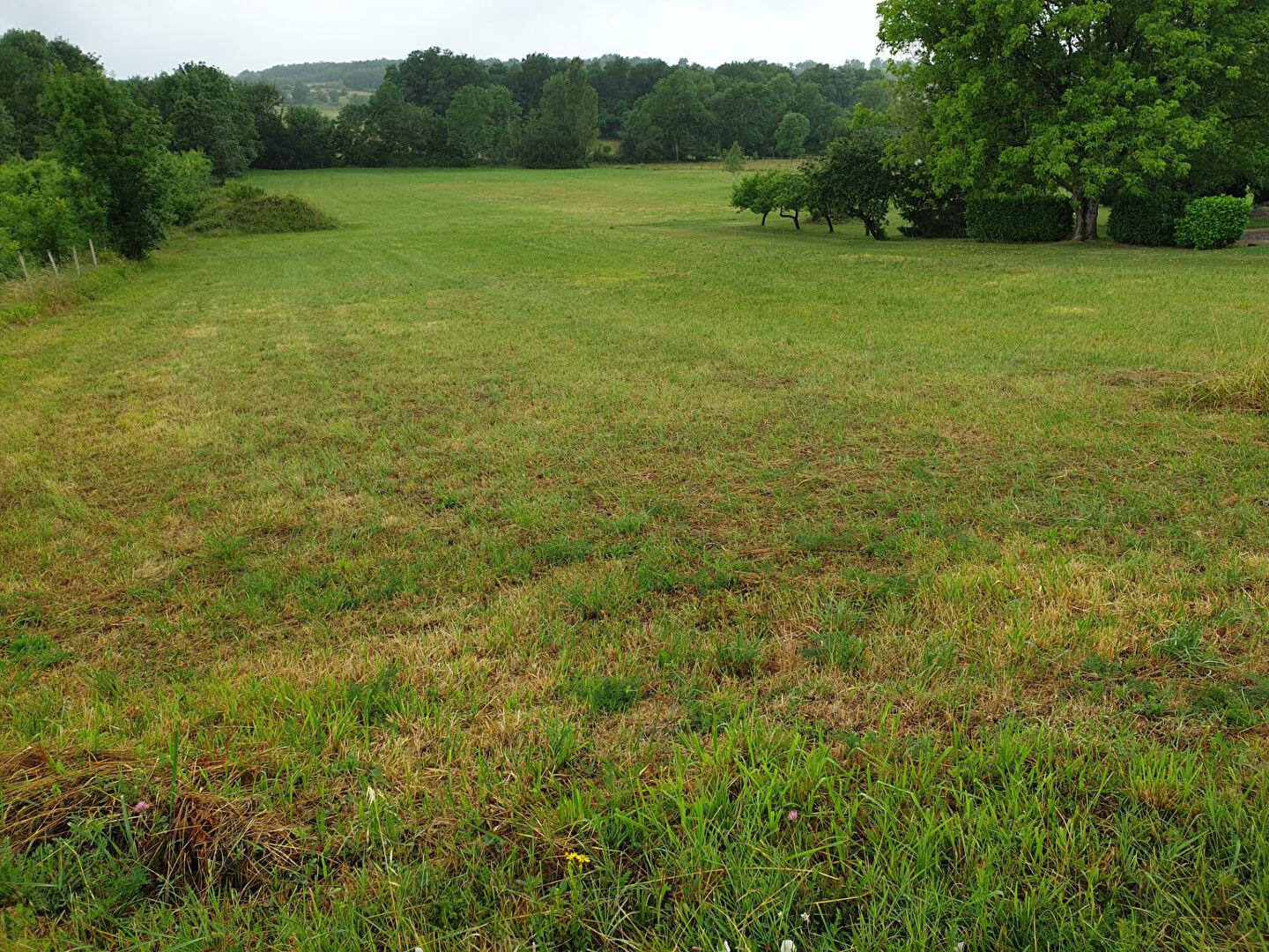 Land, 1380 m²