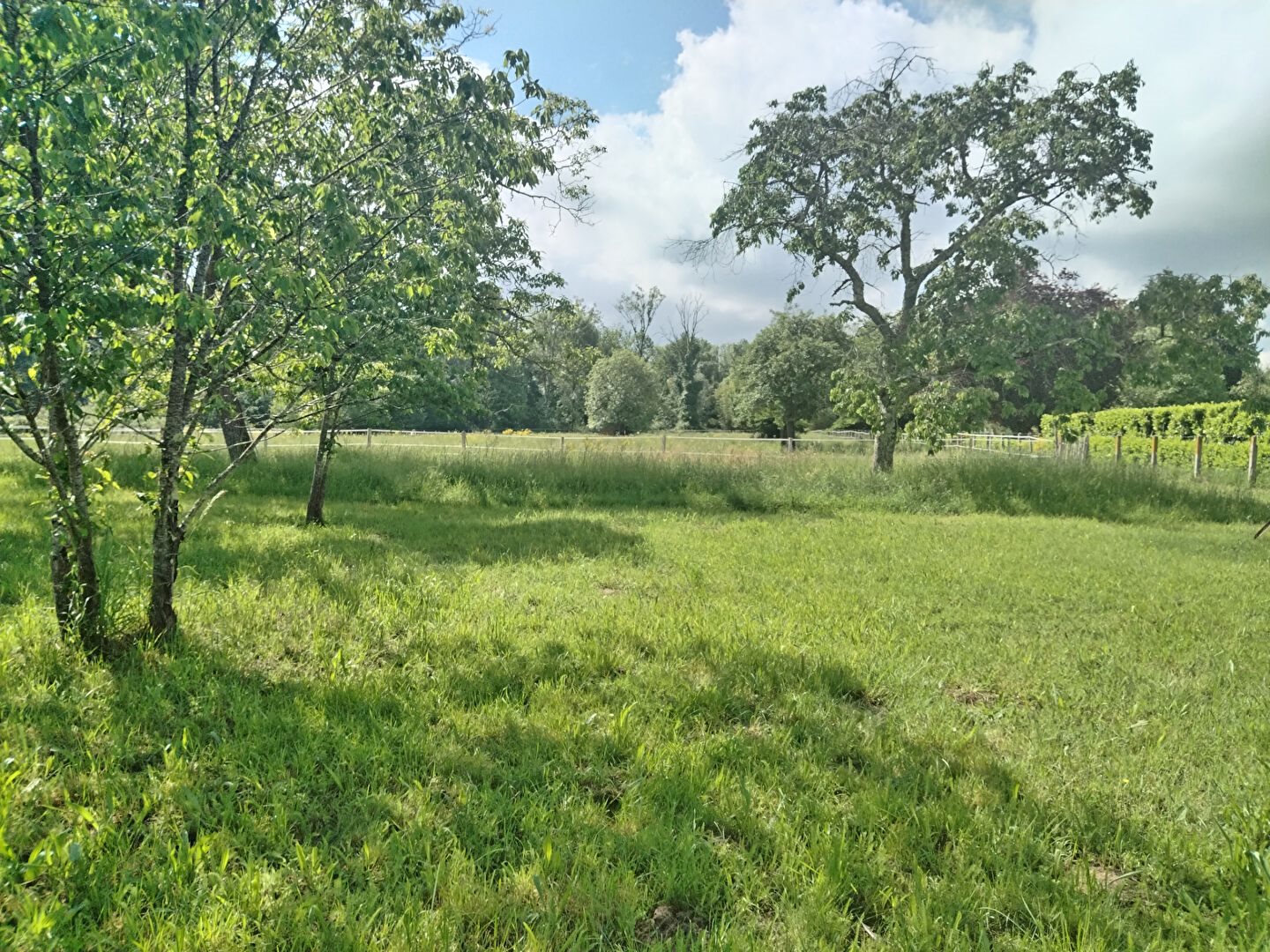 Maison à vendre, 268m², Montpon-Ménestérol