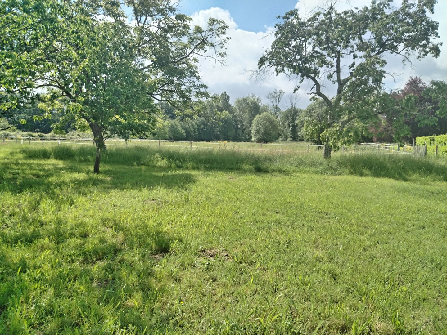 Maison à vendre, 268m², Montpon-Ménestérol