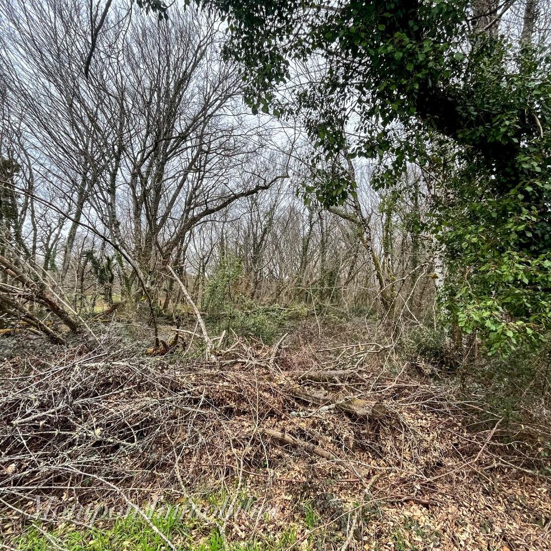 Land, 5914 m²