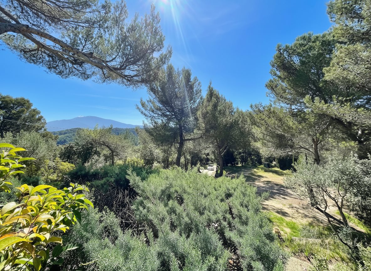 Maison à vendre, 161m², Vaison-la-Romaine
