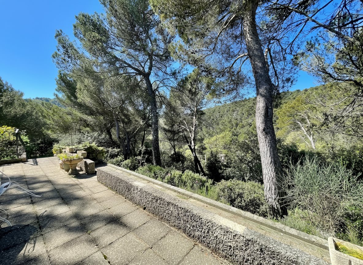 Maison à vendre, 161m², Vaison-la-Romaine