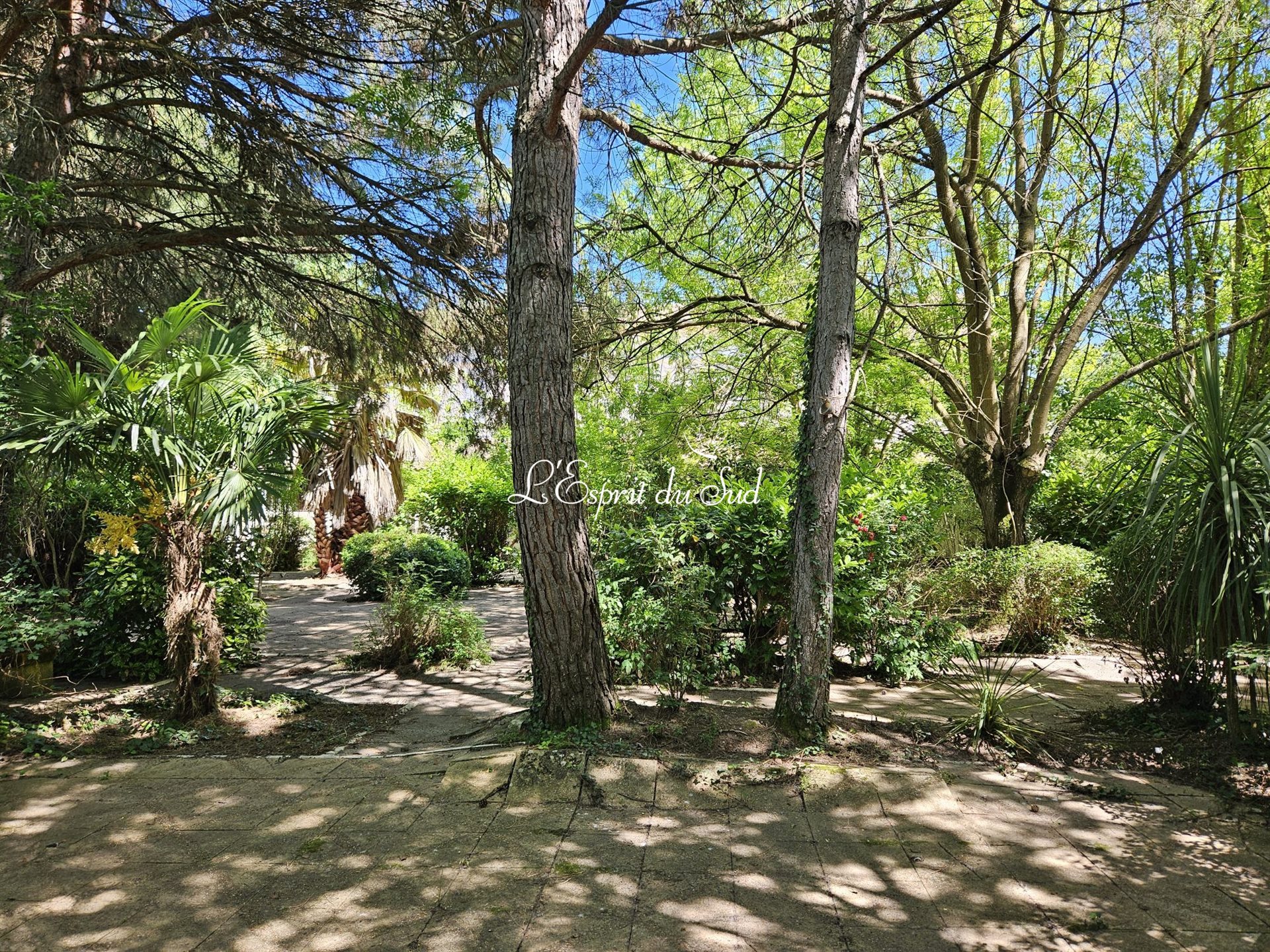 Maison à vendre, 728m², Saint-Sulpice-la-Pointe