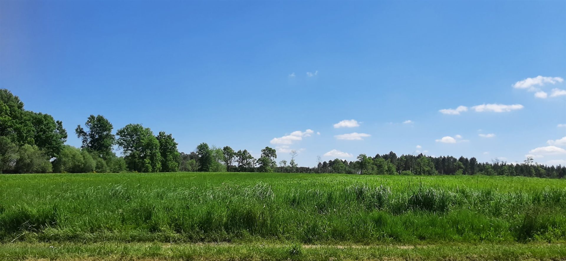 Maison à vendre, 120m², Bazas