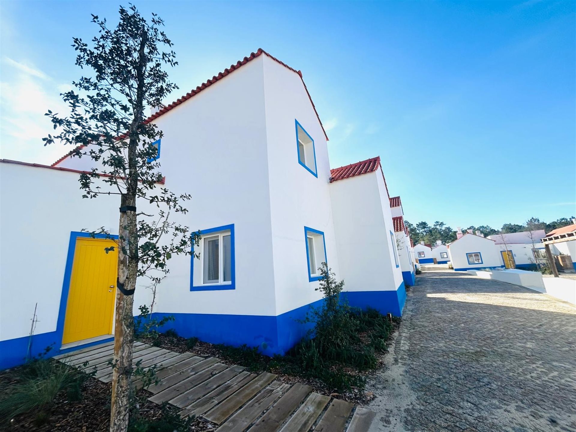 Comporta (Alcácer do Sal) photo 2