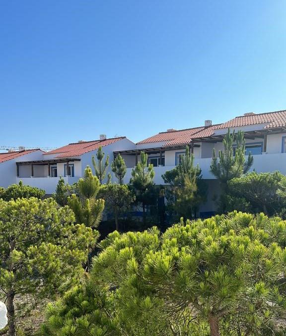 Comporta (Alcácer do Sal)