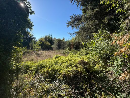 Terrain, terrain 1960 m² — Laudun-l'Ardoise (Gard) · 254 000 €