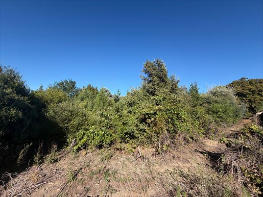 Terrain 676 m² · à Laudun-l'Ardoise · 676 m² · 115 500 €