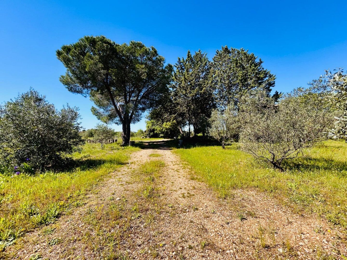 Maison à vendre, 150m², Pézenas