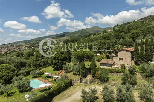 Rustic Tuscan country house with a detached annex, garden, olive grove and hillside pool – privacy and proximity to the village