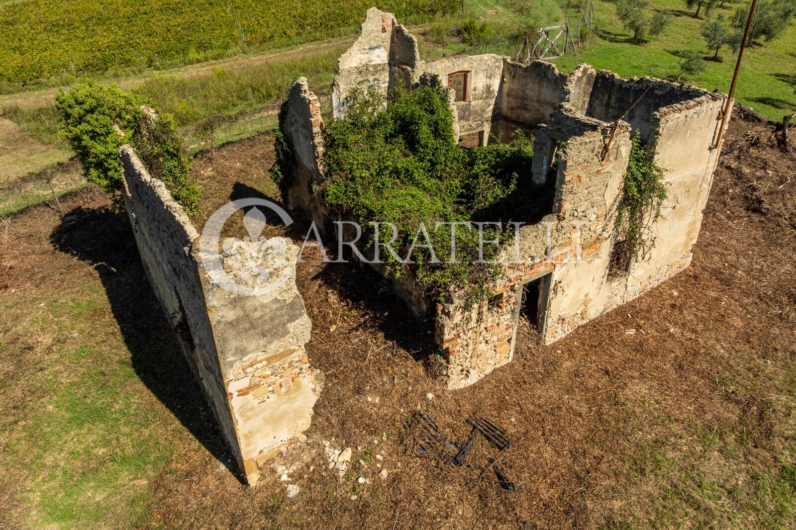 Tavarnelle Val di Pesa (Firenze) photo 3