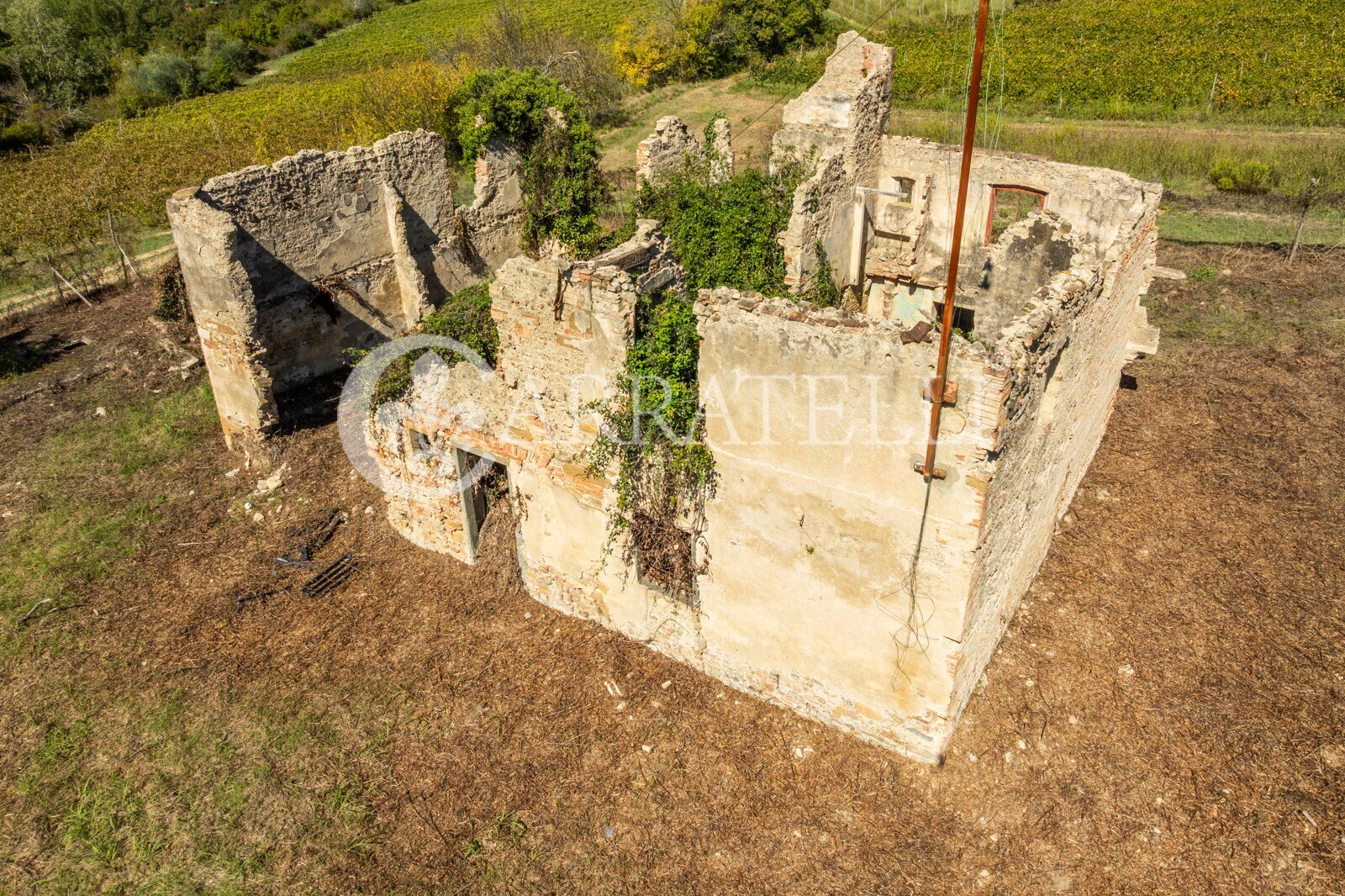 Tavarnelle Val di Pesa (Firenze) photo 4