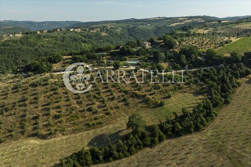 Orvieto (Terni) photo 3