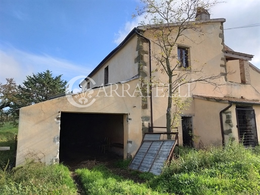 Scansano (Grosseto) photo 2
