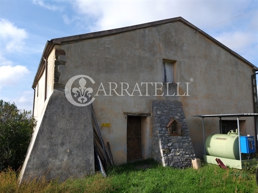 Scansano (Grosseto) photo 3