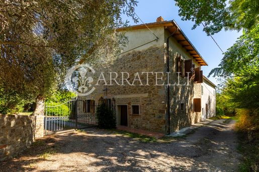Cinigiano (Grosseto) photo 3