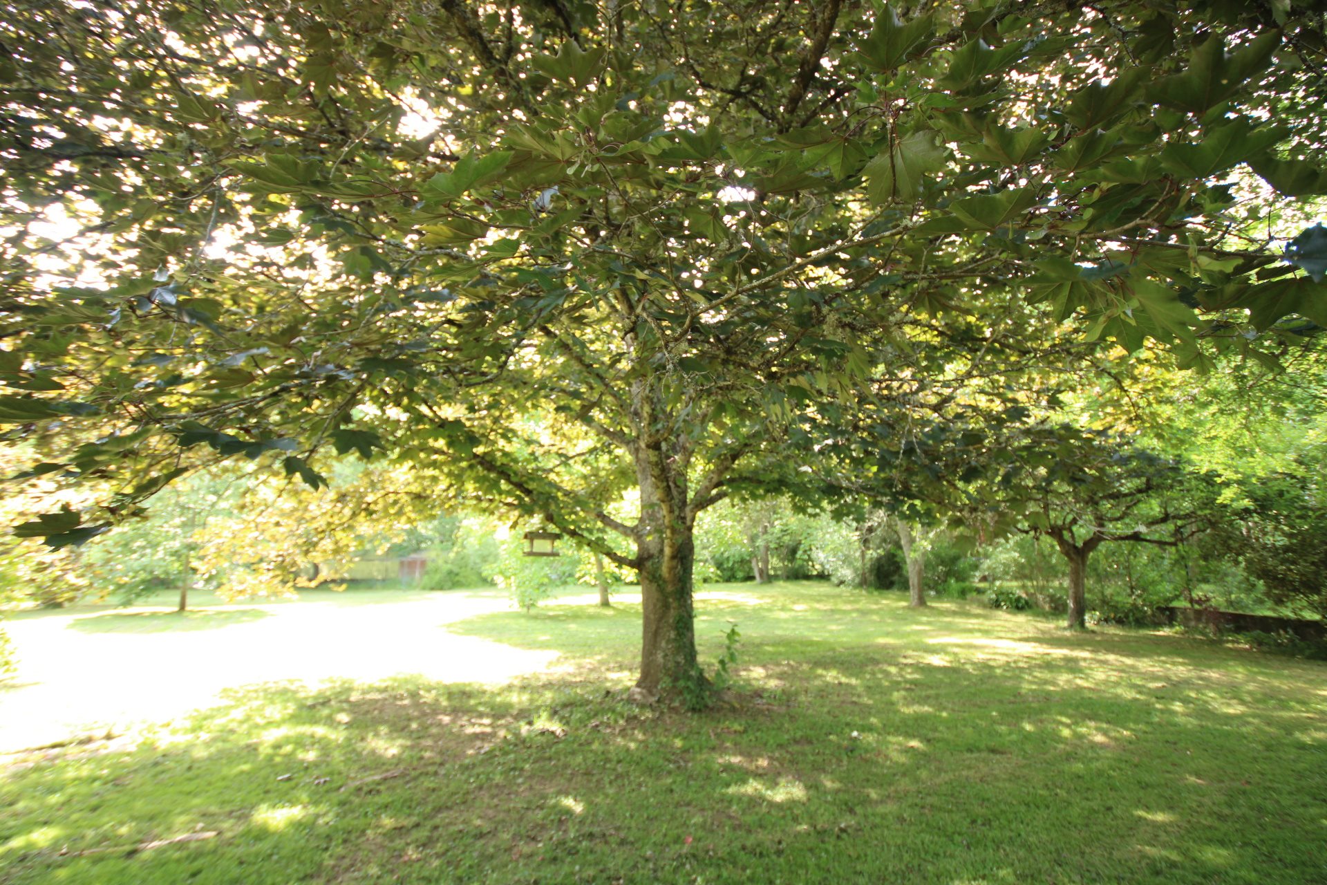 Maison à vendre, 150m², La Bastide-sur-l'Hers