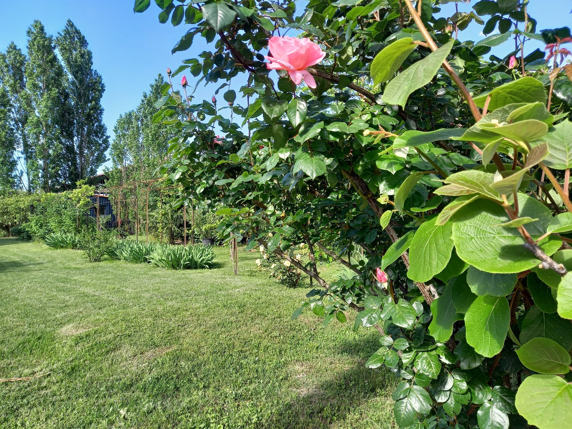 Maison à vendre, 220m², Mirepoix