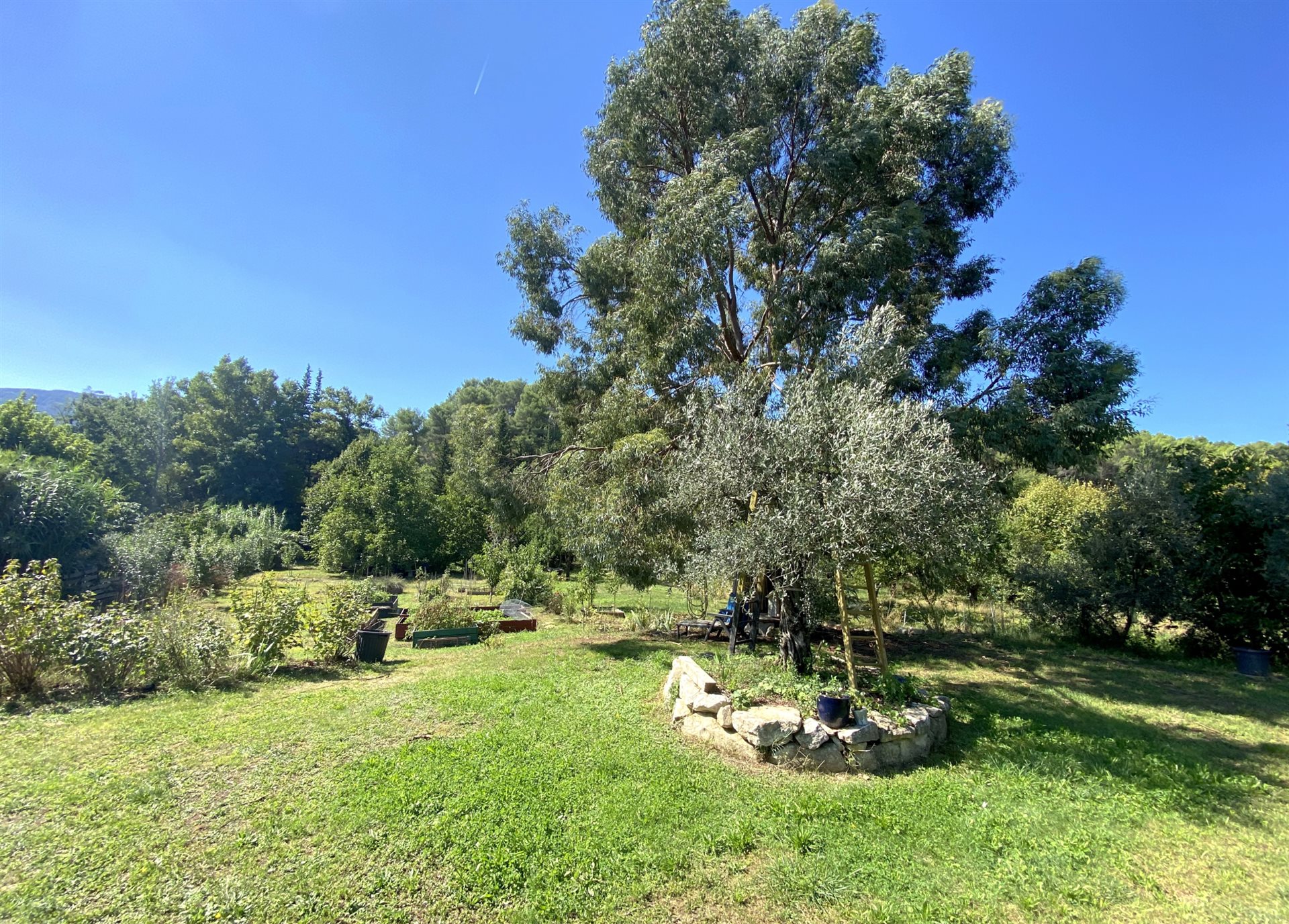 Maison à vendre, 160m², Buis-les-Baronnies