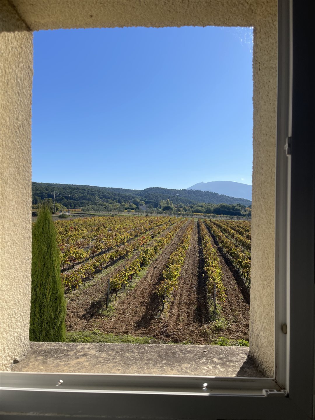 Maison à vendre, 300m², Vaison-la-Romaine