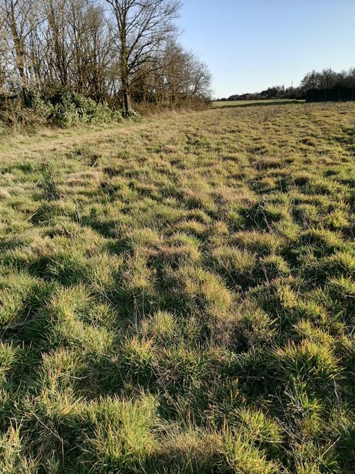 Terrain, terrain 839 m² — Coëx (Vendée) · 86 000 €