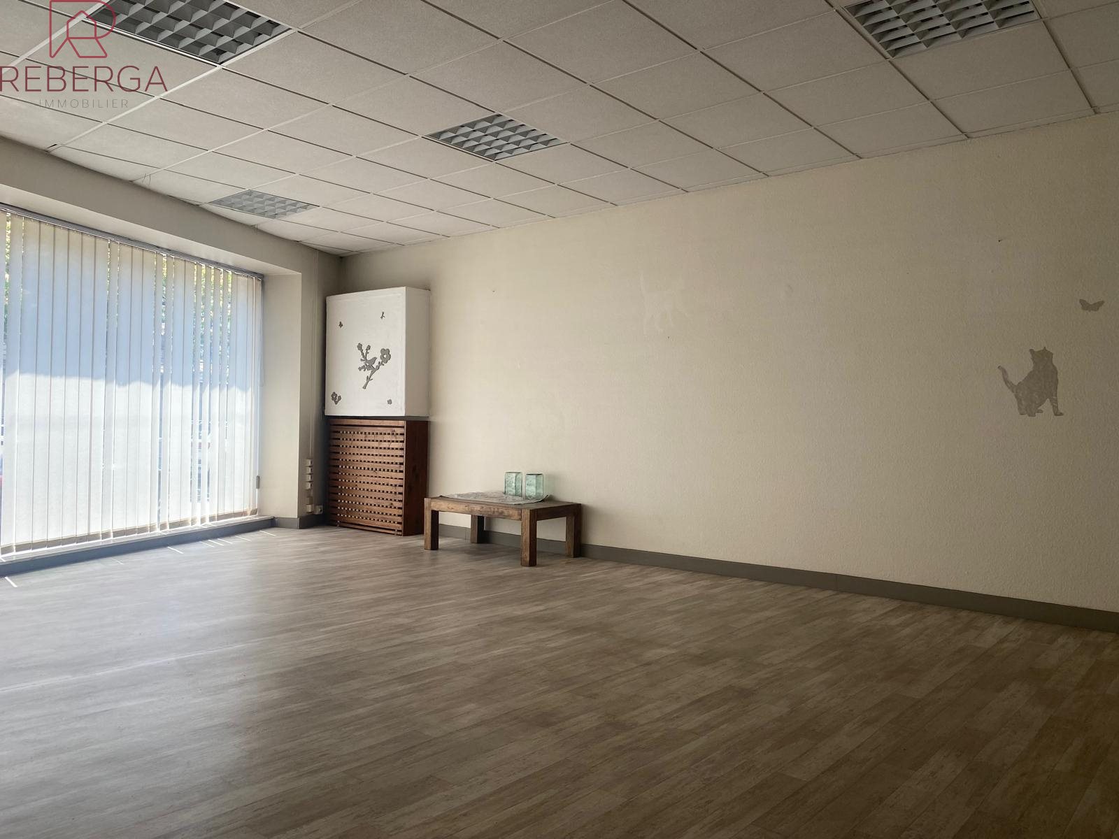 Maison à vendre, 342m², Mazamet