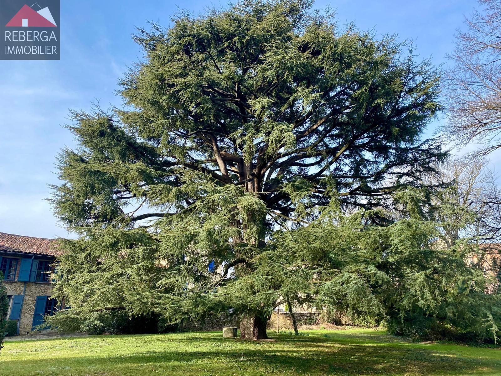 Maison à vendre, 335m², Aussillon