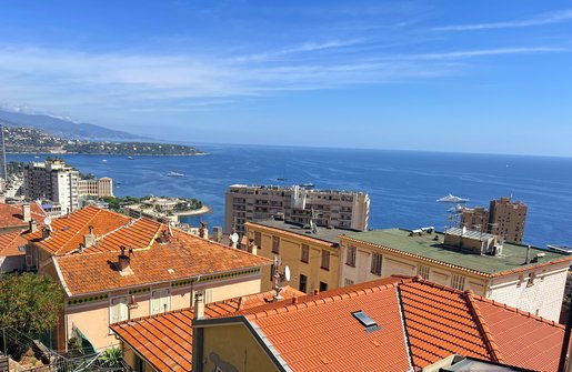 Appartement 3 pièces 100 m² · à Beausoleil · 100 m² · 850 000 €