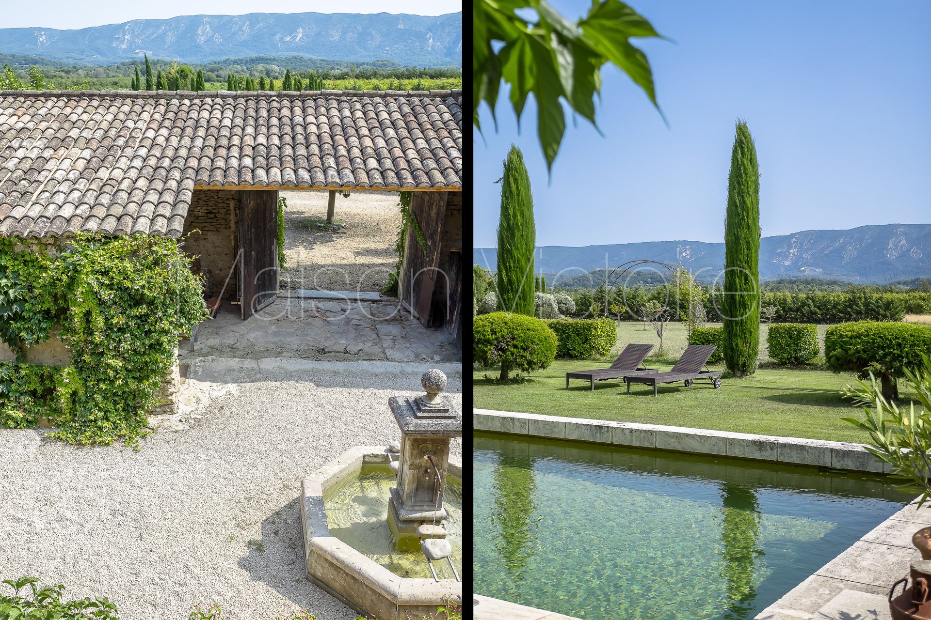 Cabrières-d'Avignon (Vaucluse) photo 4