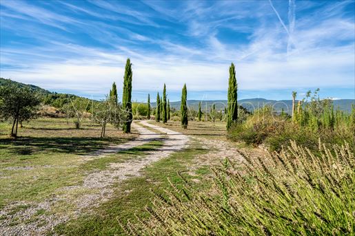 Saint-Saturnin-lès-Apt (Vaucluse) photo 2