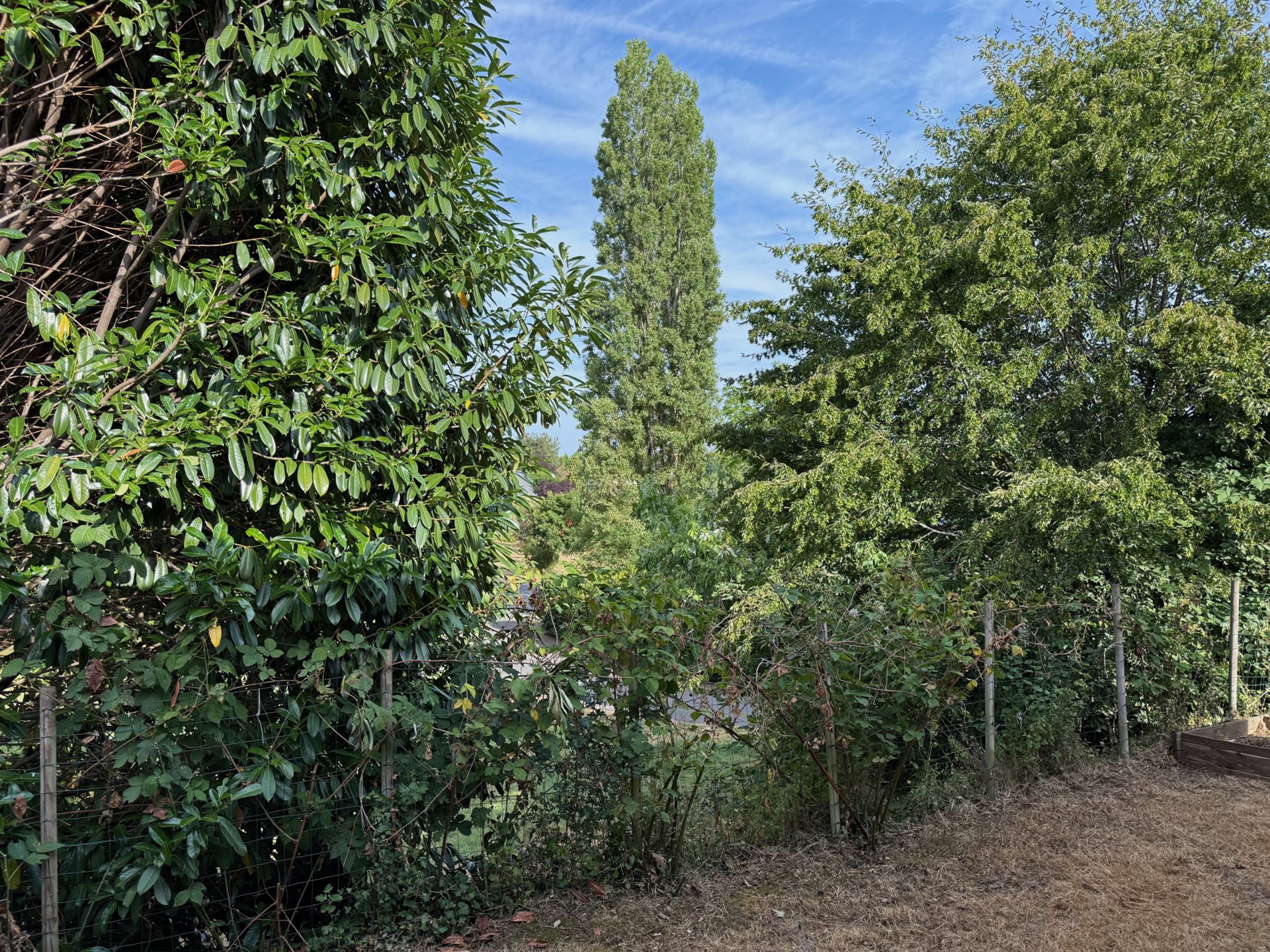 Maison à vendre, 51m², Pionsat