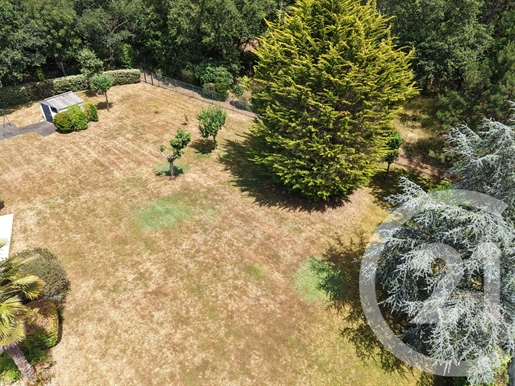 Achat : Terrain Saint-Avé (56890) · 291 500 €