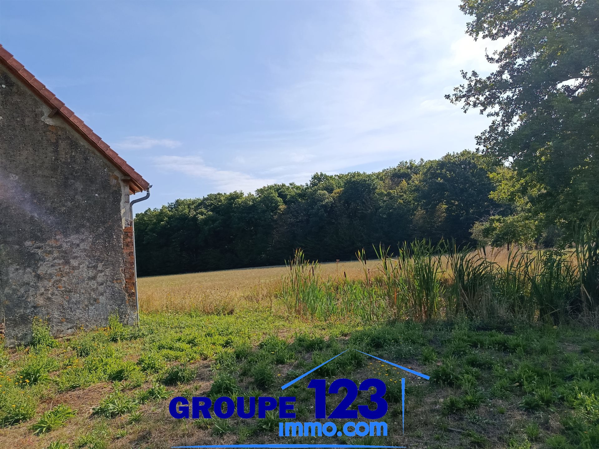Maison à vendre, 180m², Champignelles