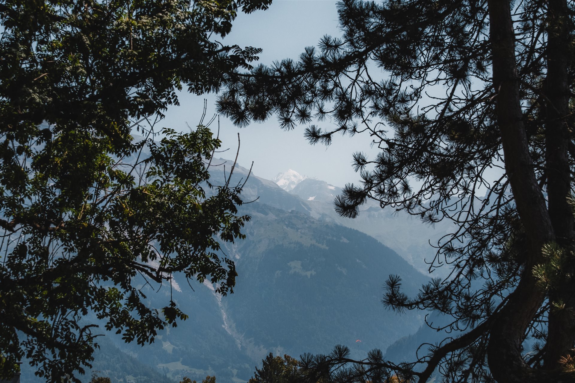 Beautiful plot of building land in the heights of Verchaix : view and sunshine - Vue 3