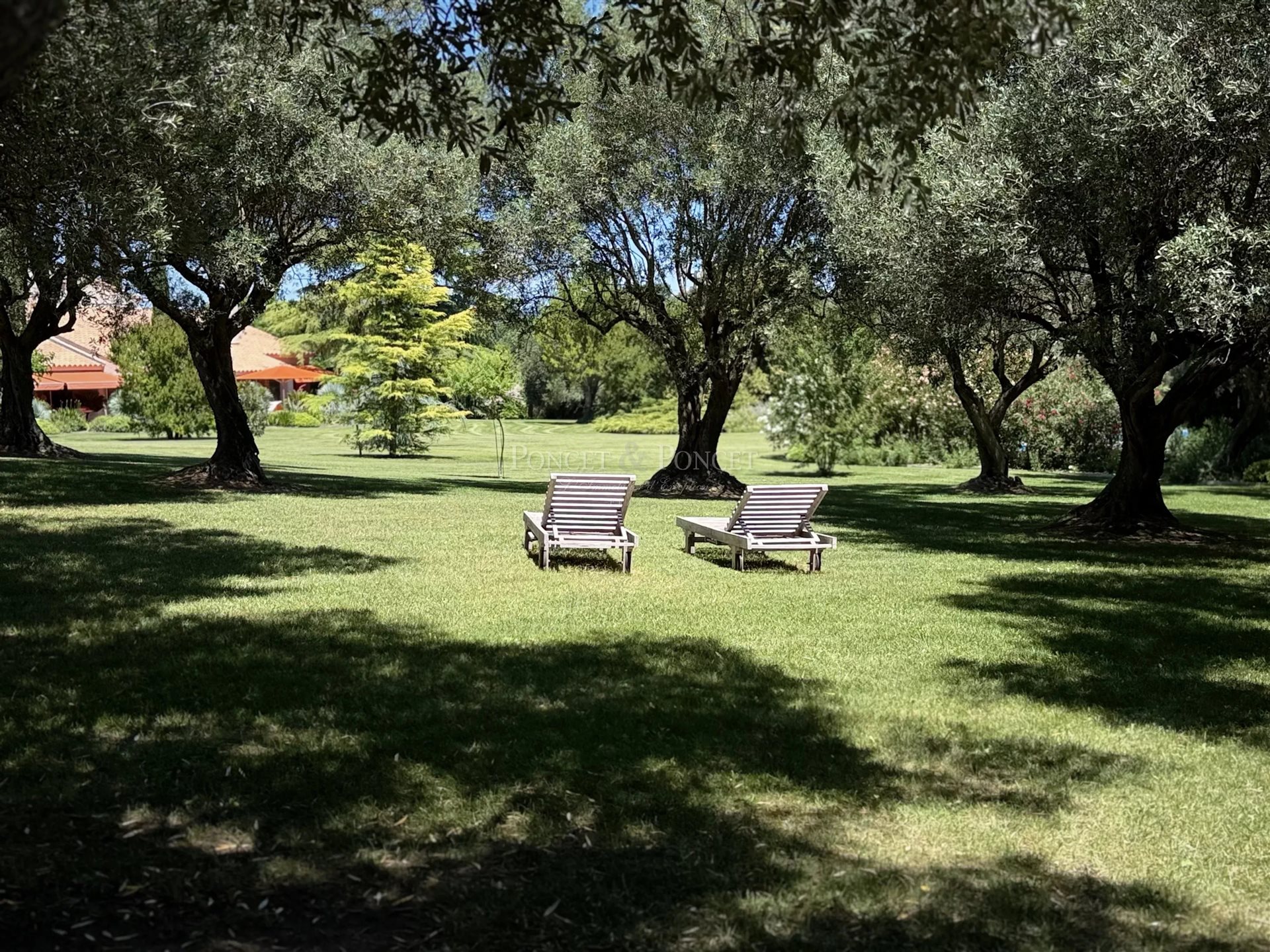 Maison à vendre, 350m², Uzès