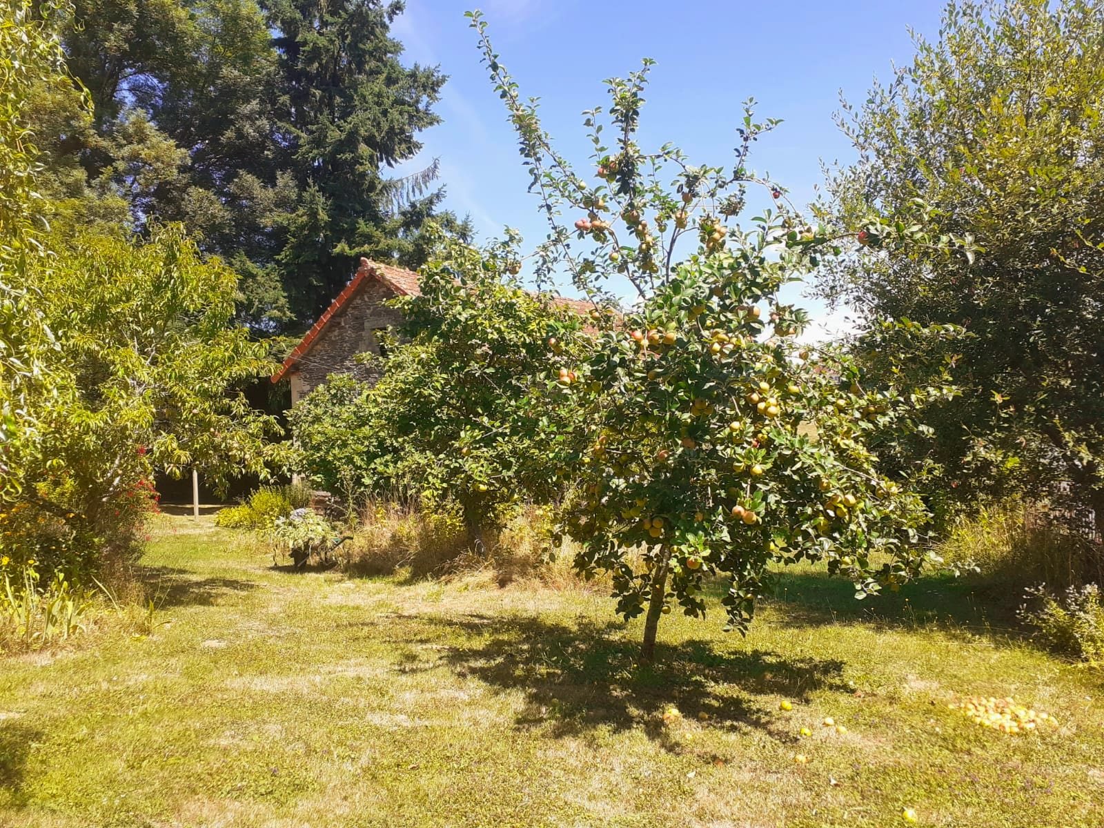 Maison à vendre, 170m², Sarrazac