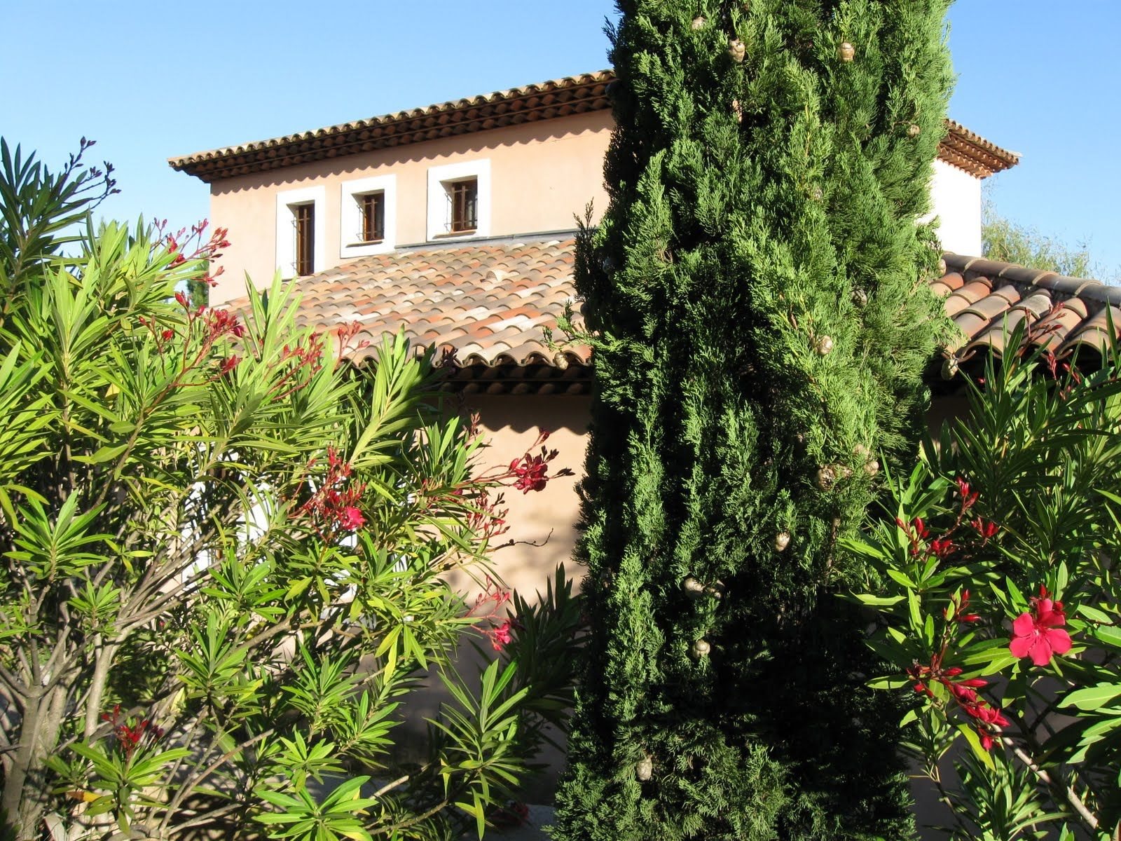 Maison à vendre, 256m², Brignoles