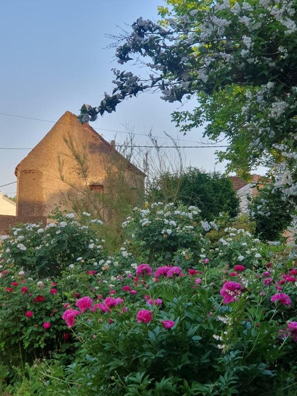 Maison à vendre, 185m², Conflans-sur-Lanterne