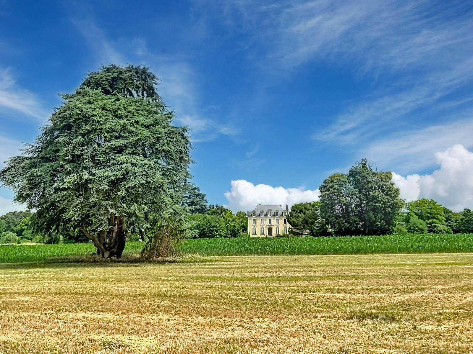 Maison à vendre, 430m², Baugé-en-Anjou
