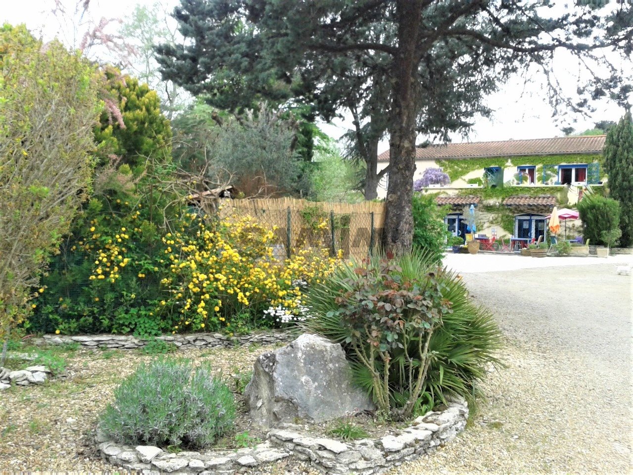 Maison à vendre, 230m², Sauve