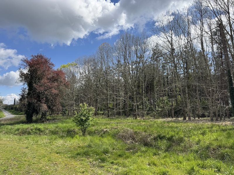 Maison à vendre, 130m², Maransin
