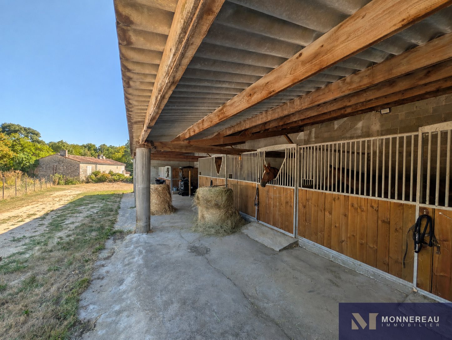 Maison à vendre, 217m², Châteauneuf-sur-Charente