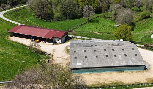 Exploitation élevage bovin allaitant - 62 ha - Puy-de-Dôme · à Saint-Eloy-les-Mines · 165 000 €