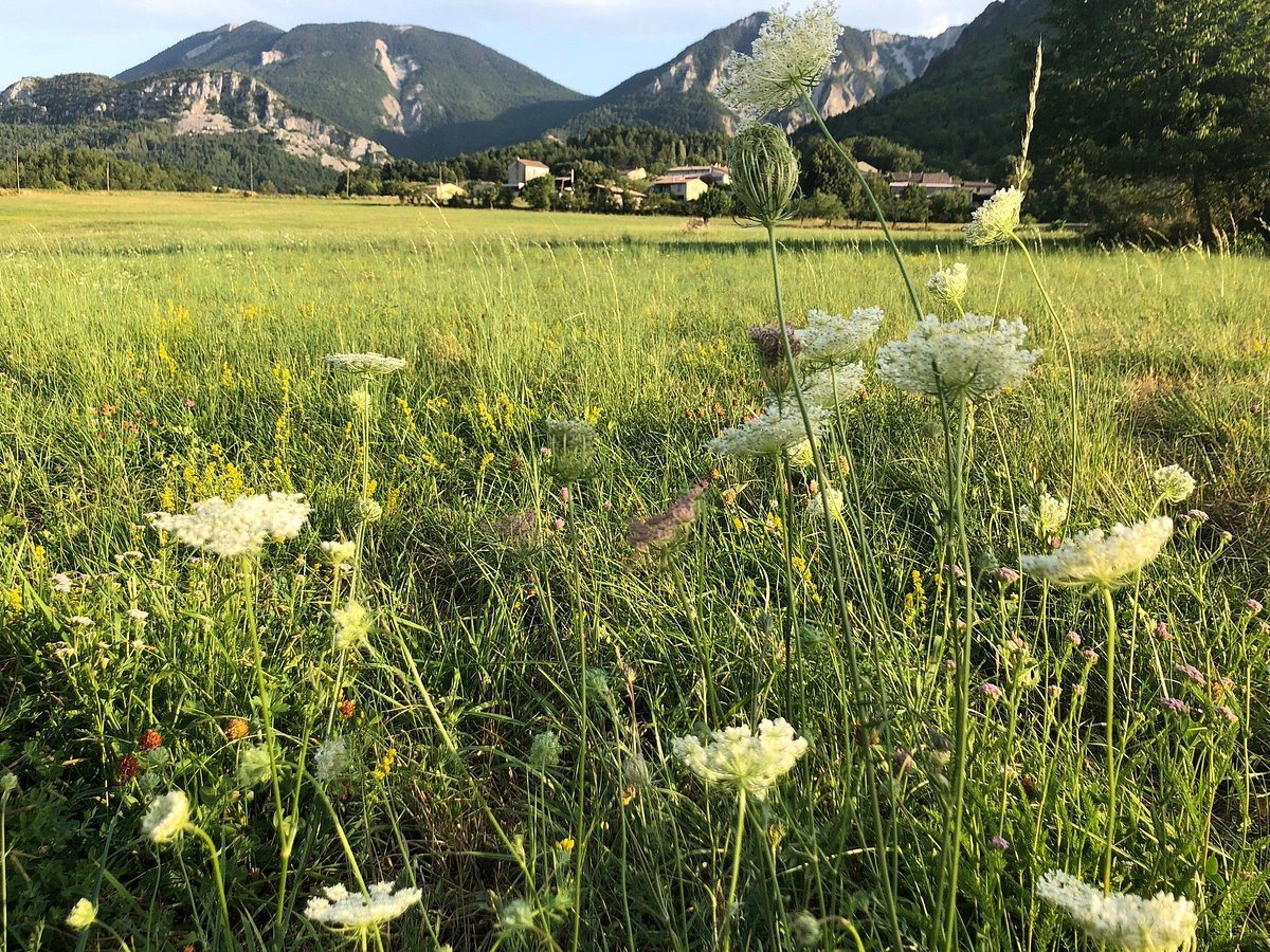 Maison à vendre, 278m², Sisteron
