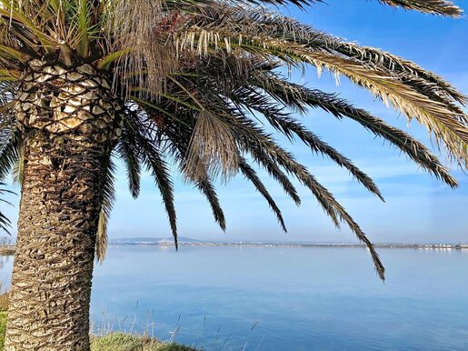 3 pièces 72 m² · à Palavas-les-Flots · 72 m² · 425 000 €