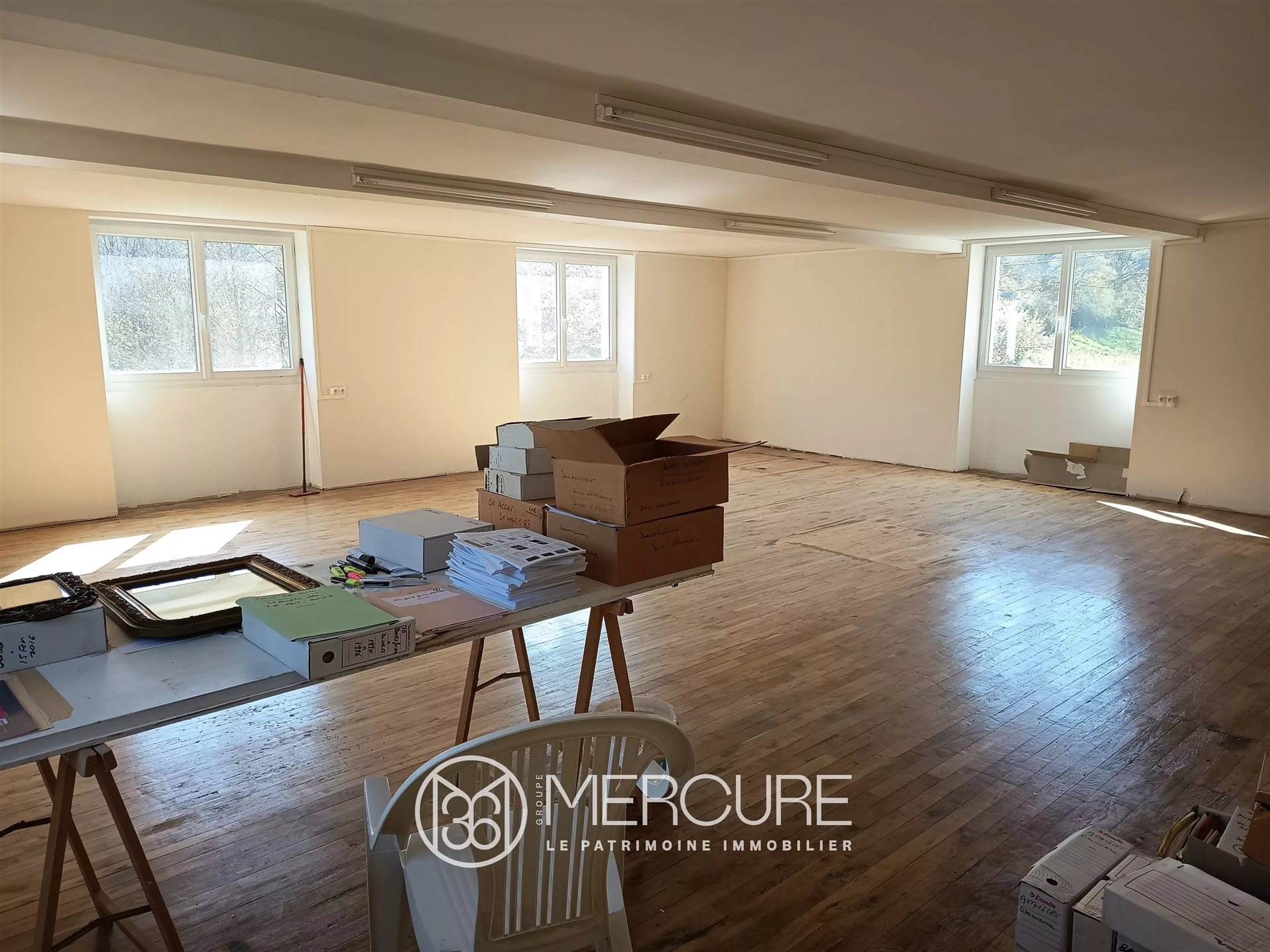 Maison à vendre, 550m², Charroux